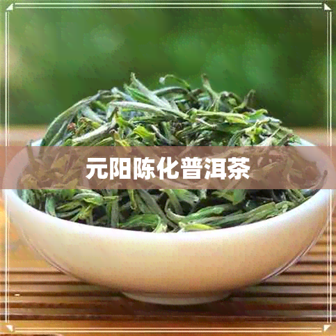 元阳陈化普洱茶