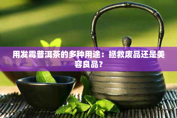 用发霉普洱茶的多种用途：拯救废品还是美容良品？