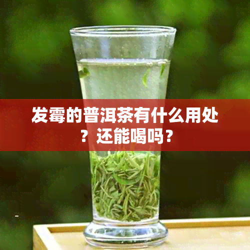 发霉的普洱茶有什么用处？还能喝吗？