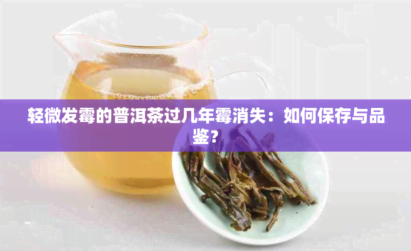 轻微发霉的普洱茶过几年霉消失：如何保存与品鉴？