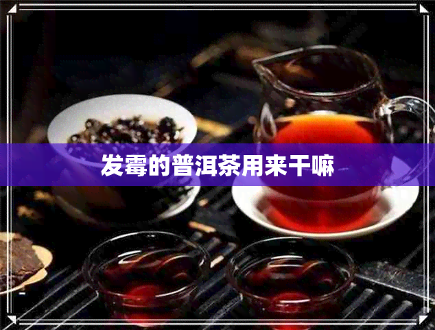 发霉的普洱茶用来干嘛