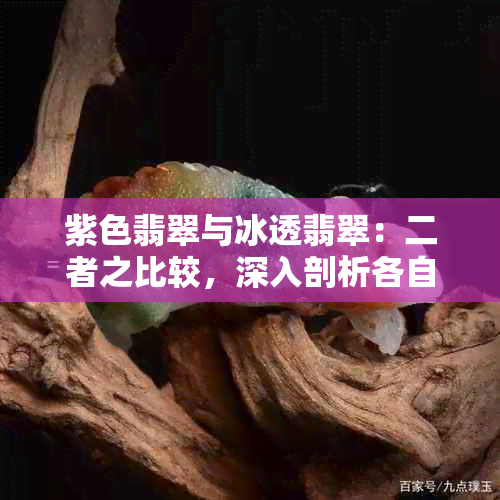 紫色翡翠与冰透翡翠：二者之比较，深入剖析各自特点及选购建议