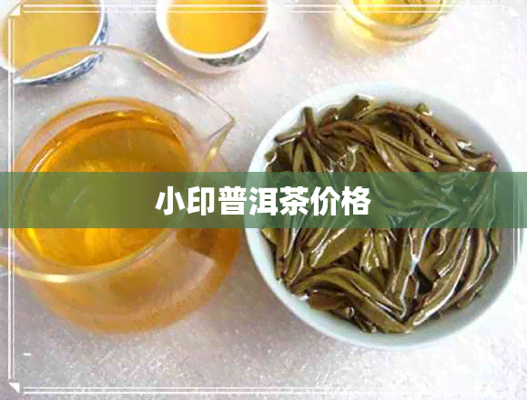 小印普洱茶价格