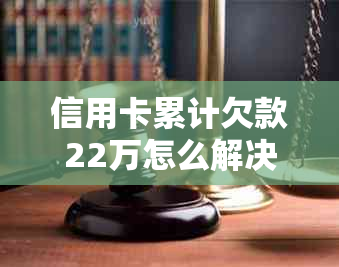 信用卡累计欠款22万怎么解决