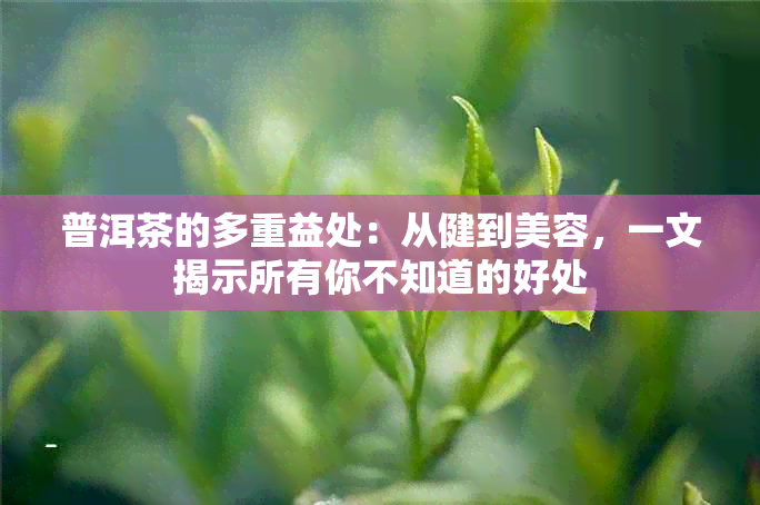 普洱茶的多重益处：从健到美容，一文揭示所有你不知道的好处