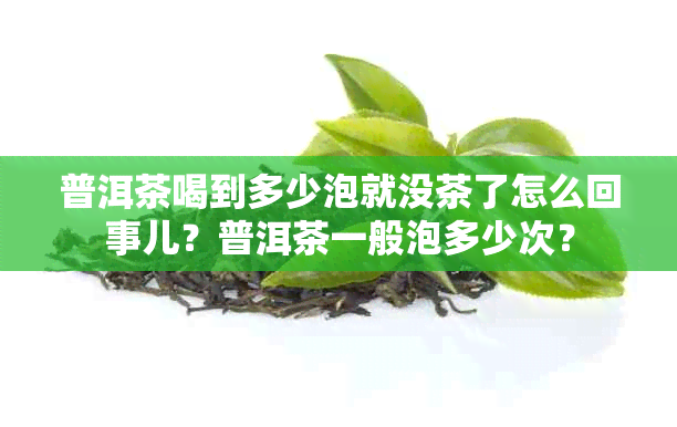 普洱茶喝到多少泡就没茶了怎么回事儿？普洱茶一般泡多少次？