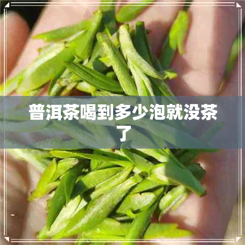 普洱茶喝到多少泡就没茶了