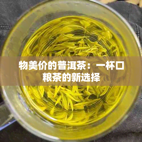 物美价的普洱茶：一杯口粮茶的新选择