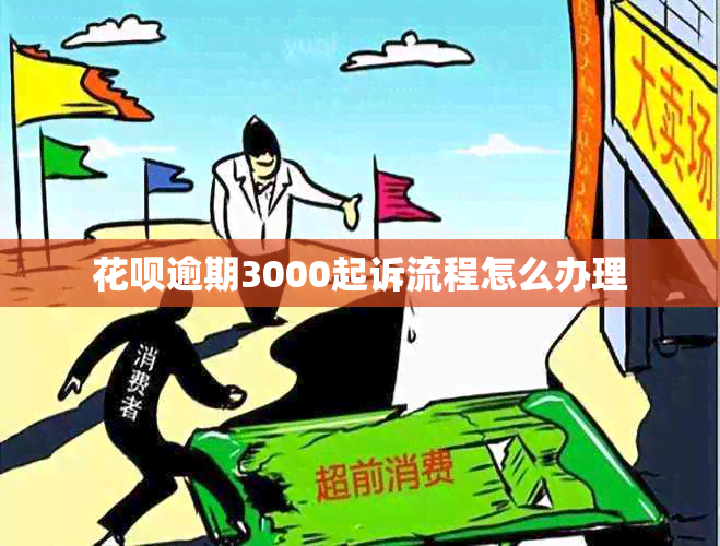 花呗逾期3000起诉流程怎么办理