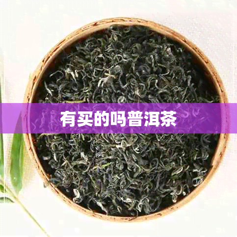 有买的吗普洱茶