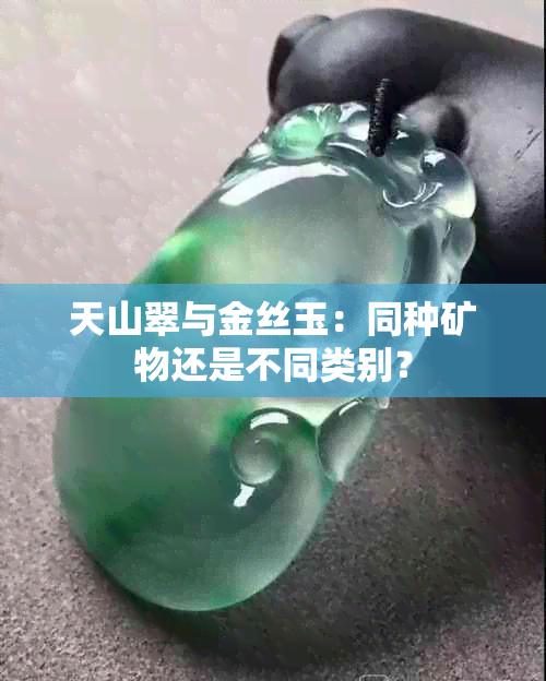 天山翠与金丝玉：同种矿物还是不同类别？