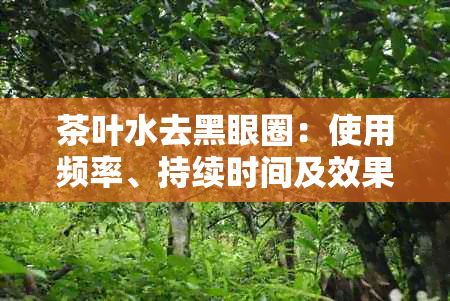 茶叶水去黑眼圈：使用频率、持续时间及效果观察，如何选择最适合你的方案？