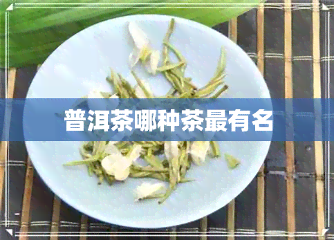 普洱茶哪种茶最有名