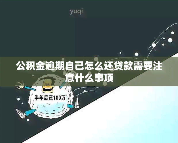 公积金逾期自己怎么还贷款需要注意什么事项