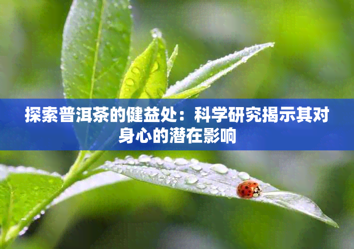 探索普洱茶的健益处：科学研究揭示其对身心的潜在影响