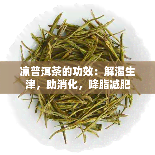 凉普洱茶的功效：解渴生津，助消化，降脂减肥