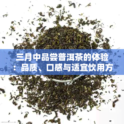 三月中品尝普洱茶的体验：品质、口感与适宜饮用方法全面解析