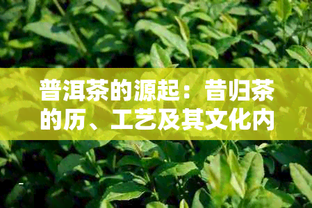 普洱茶的源起：昔归茶的历、工艺及其文化内涵