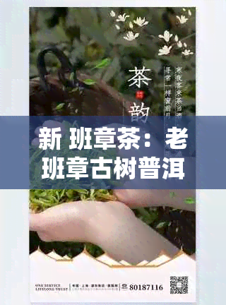 新 班章茶：老班章古树普洱茶，纯正品质与厚重历的味道