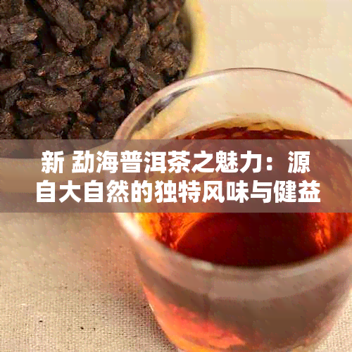 新 勐海普洱茶之魅力：源自大自然的独特风味与健益处