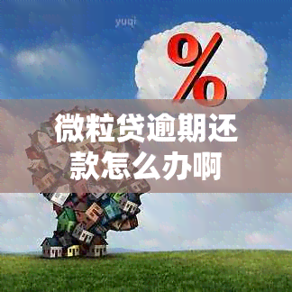 微粒贷逾期还款怎么办啊