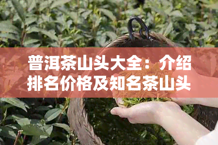 普洱茶山头大全：介绍排名价格及知名茶山头，探究普洱茶知识。