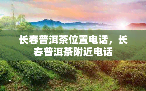 长春普洱茶位置电话，长春普洱茶附近电话