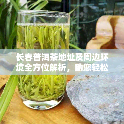 长春普洱茶地址及周边环境全方位解析，助您轻松找到选择！