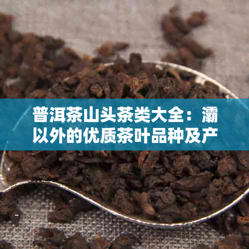 普洱茶山头茶类大全：灞以外的优质茶叶品种及产地