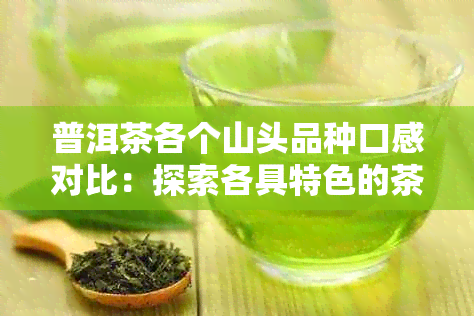 普洱茶各个山头品种口感对比：探索各具特色的茶区风味