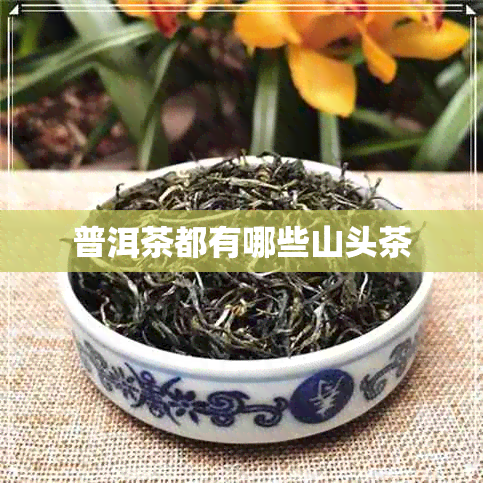 普洱茶都有哪些山头茶