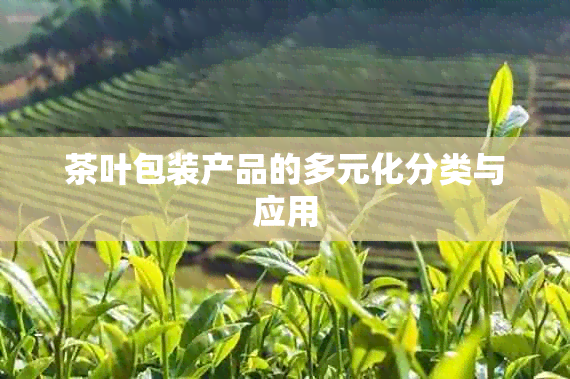 茶叶包装产品的多元化分类与应用