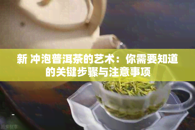 新 冲泡普洱茶的艺术：你需要知道的关键步骤与注意事项