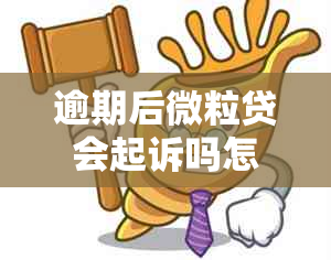 逾期后微粒贷会起诉吗怎么办解决方法