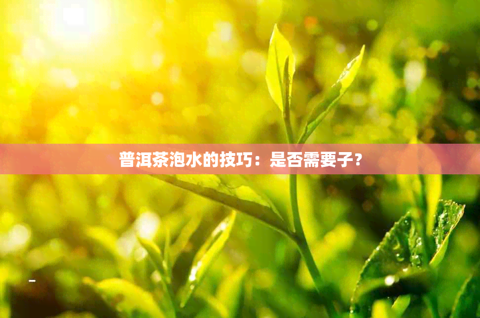 普洱茶泡水的技巧：是否需要子？