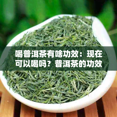 喝普洱茶有啥功效：现在可以喝吗？普洱茶的功效、作用及副作用是什么？