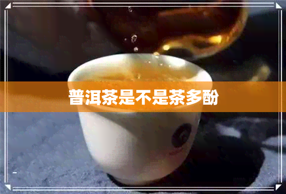 普洱茶是不是茶多酚