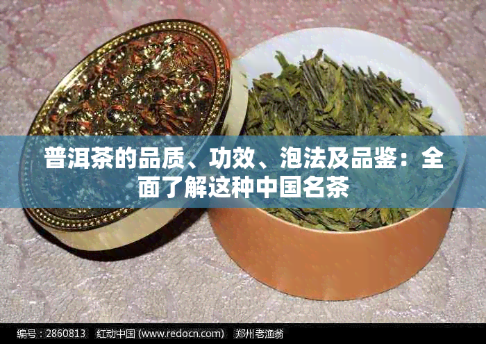 普洱茶的品质、功效、泡法及品鉴：全面了解这种中国名茶