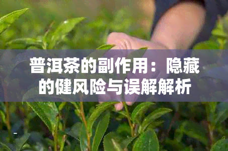 普洱茶的副作用：隐藏的健风险与误解解析