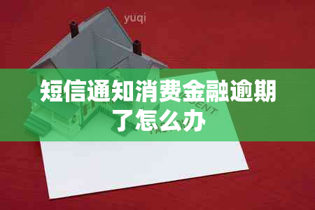 短信通知消费金融逾期了怎么办