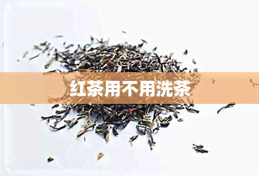 红茶用不用洗茶