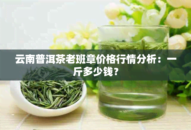 云南普洱茶老班章价格行情分析：一斤多少钱？