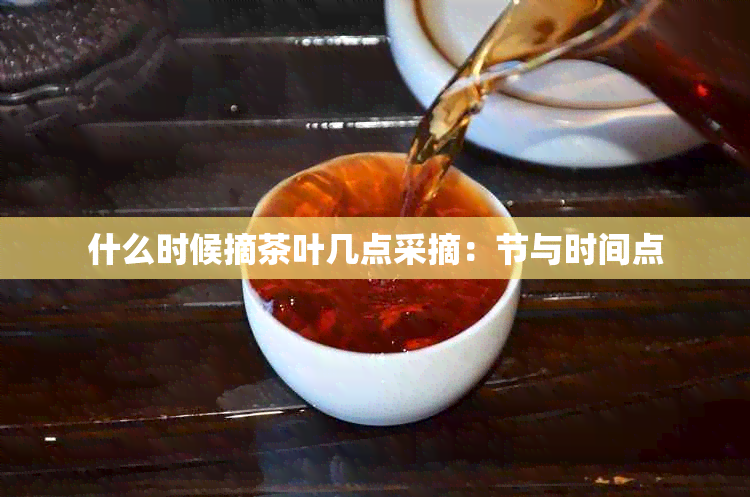 什么时候摘茶叶几点采摘：节与时间点