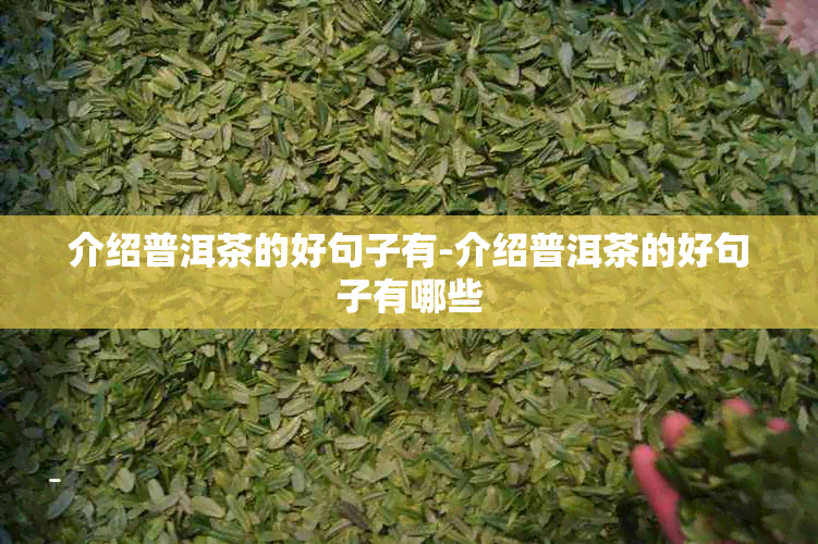 介绍普洱茶的好句子有-介绍普洱茶的好句子有哪些