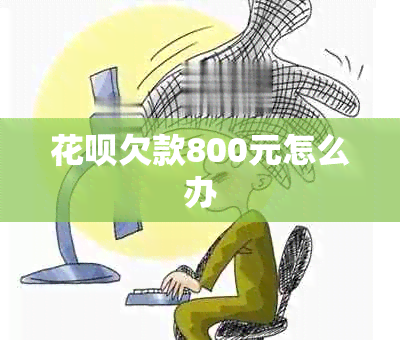 花呗欠款800元怎么办