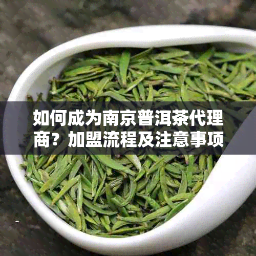 如何成为南京普洱茶代理商？加盟流程及注意事项全面解析