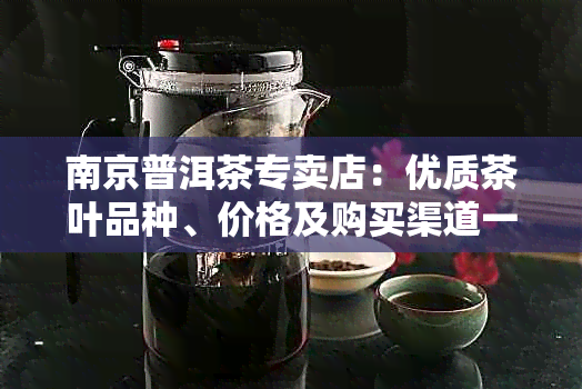 南京普洱茶专卖店：优质茶叶品种、价格及购买渠道一应俱全