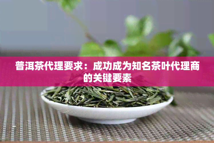 普洱茶代理要求：成功成为知名茶叶代理商的关键要素