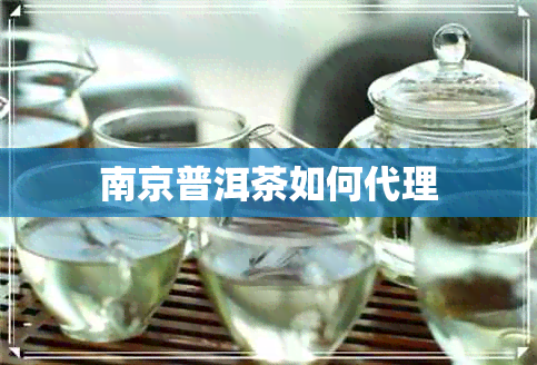 南京普洱茶如何代理