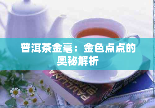 普洱茶金毫：金色点点的奥秘解析